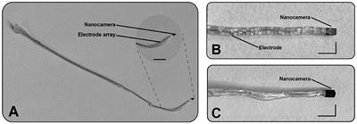 Optical method to preserve residual hearing in patients receiving a cochlear implant